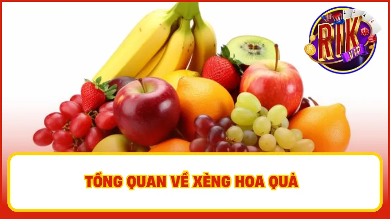 Trò chơi này không chỉ dễ chơi mà còn mang lại cơ hội kiếm tiền thật cho người tham gia