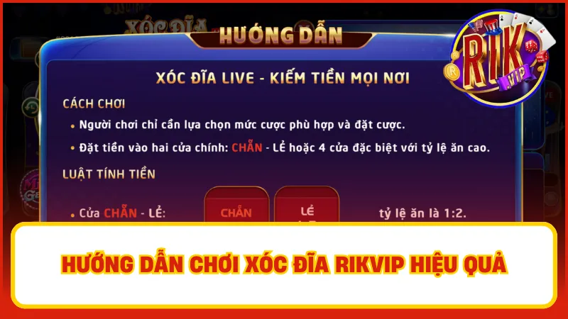 Hướng dẫn cách chơi xóc đĩa cơ bản kỹ năng cho đến những chiến thuật hiểu quả